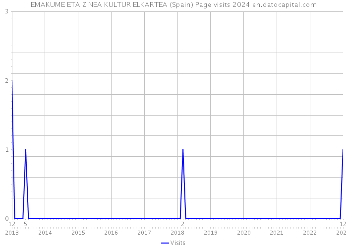 EMAKUME ETA ZINEA KULTUR ELKARTEA (Spain) Page visits 2024 