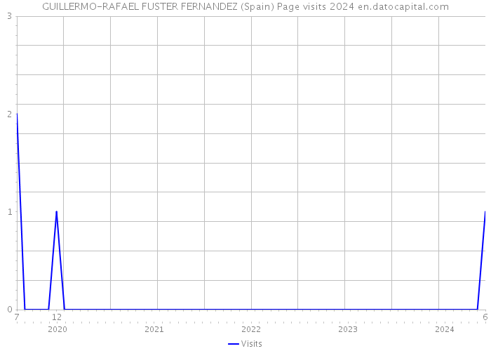 GUILLERMO-RAFAEL FUSTER FERNANDEZ (Spain) Page visits 2024 