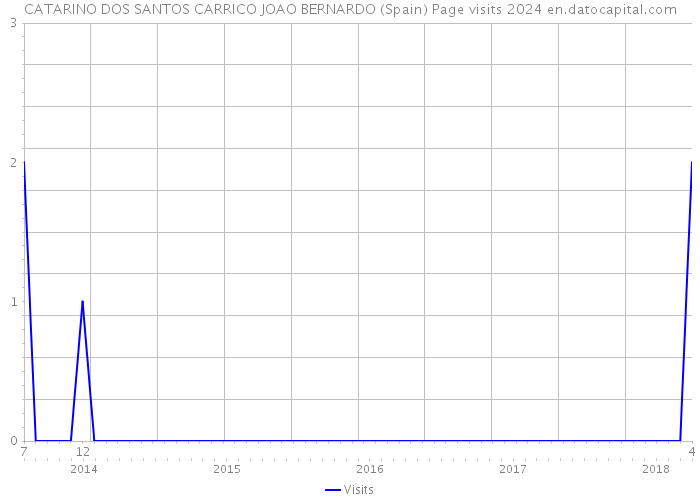 CATARINO DOS SANTOS CARRICO JOAO BERNARDO (Spain) Page visits 2024 