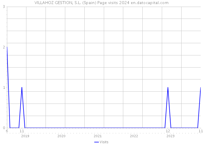 VILLAHOZ GESTION, S.L. (Spain) Page visits 2024 