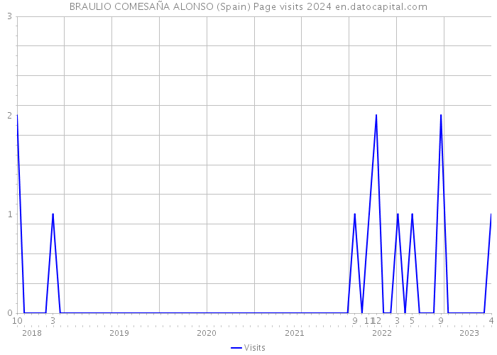 BRAULIO COMESAÑA ALONSO (Spain) Page visits 2024 