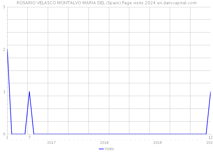 ROSARIO VELASCO MONTALVO MARIA DEL (Spain) Page visits 2024 