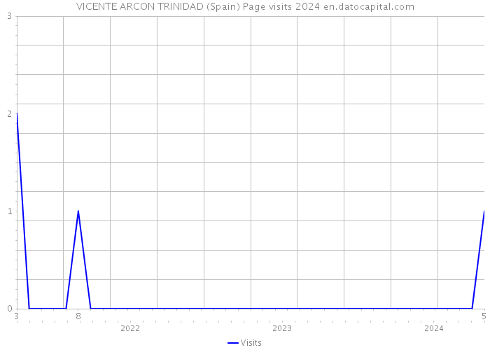VICENTE ARCON TRINIDAD (Spain) Page visits 2024 
