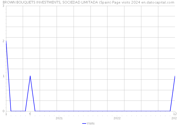 BROWN BOUQUETS INVESTMENTS, SOCIEDAD LIMITADA (Spain) Page visits 2024 