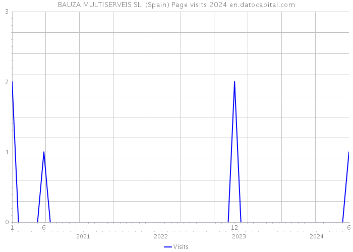 BAUZA MULTISERVEIS SL. (Spain) Page visits 2024 