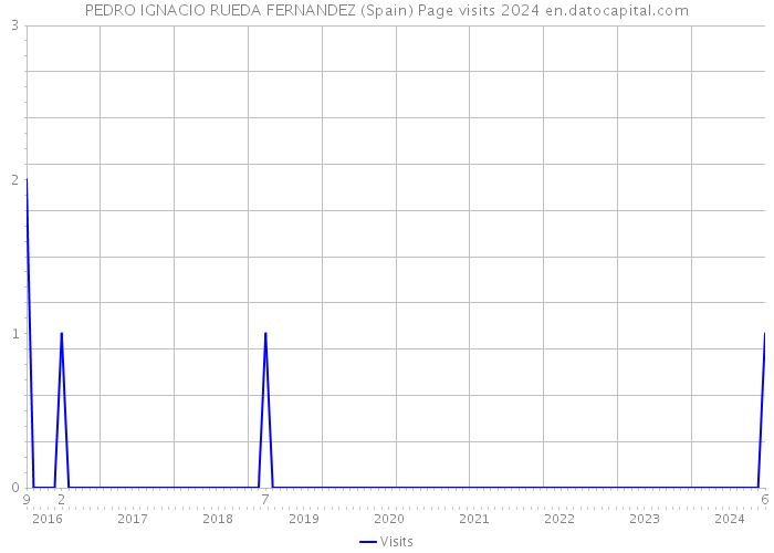 PEDRO IGNACIO RUEDA FERNANDEZ (Spain) Page visits 2024 