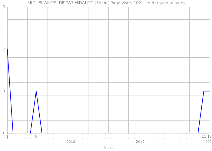 MIGUEL ANGEL DE PAZ HIDALGO (Spain) Page visits 2024 