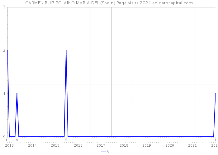 CARMEN RUIZ POLAINO MARIA DEL (Spain) Page visits 2024 