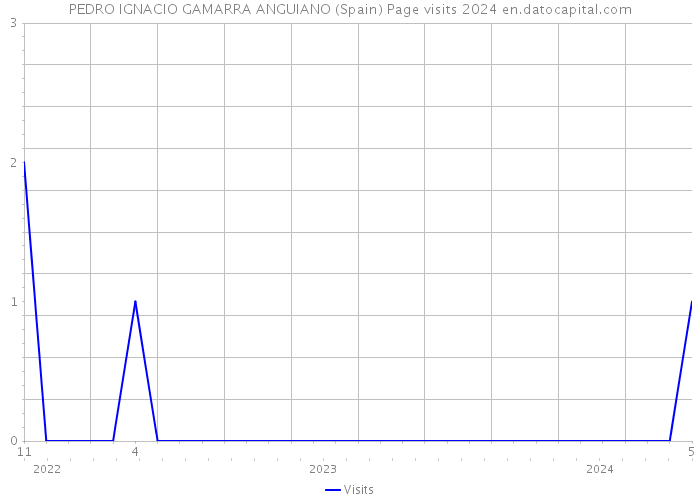 PEDRO IGNACIO GAMARRA ANGUIANO (Spain) Page visits 2024 