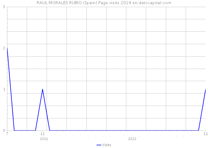 RAUL MORALES RUBIO (Spain) Page visits 2024 