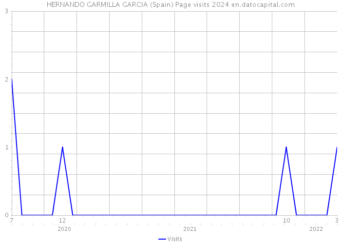 HERNANDO GARMILLA GARCIA (Spain) Page visits 2024 