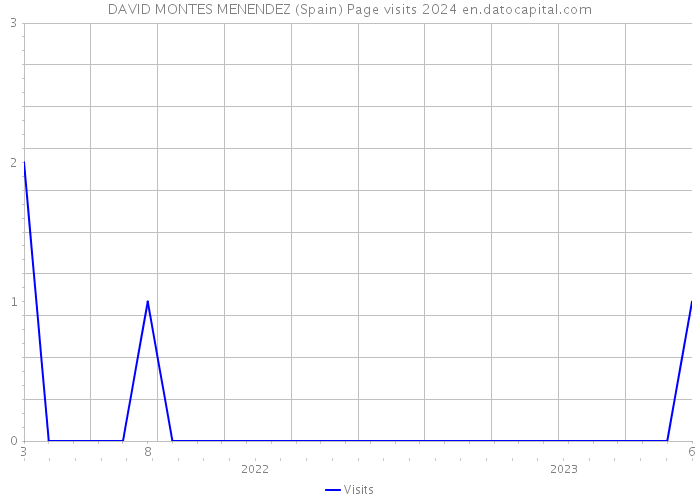DAVID MONTES MENENDEZ (Spain) Page visits 2024 