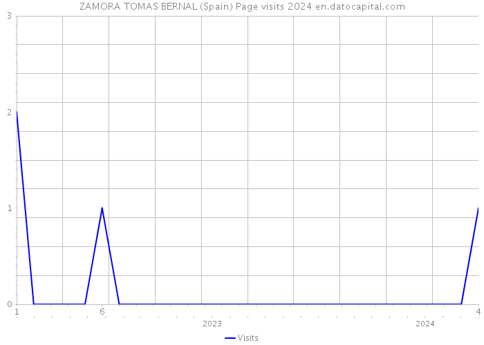 ZAMORA TOMAS BERNAL (Spain) Page visits 2024 