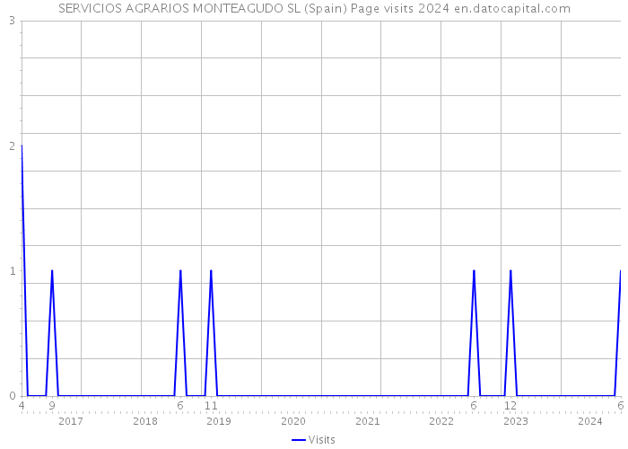 SERVICIOS AGRARIOS MONTEAGUDO SL (Spain) Page visits 2024 