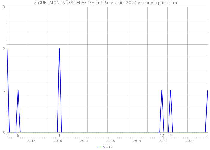 MIGUEL MONTAÑES PEREZ (Spain) Page visits 2024 