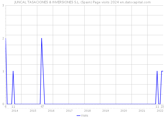 JUNCAL TASACIONES & INVERSIONES S.L. (Spain) Page visits 2024 