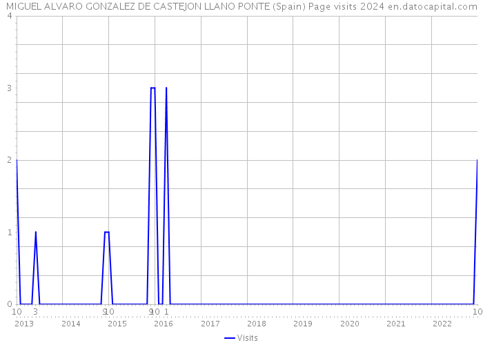 MIGUEL ALVARO GONZALEZ DE CASTEJON LLANO PONTE (Spain) Page visits 2024 