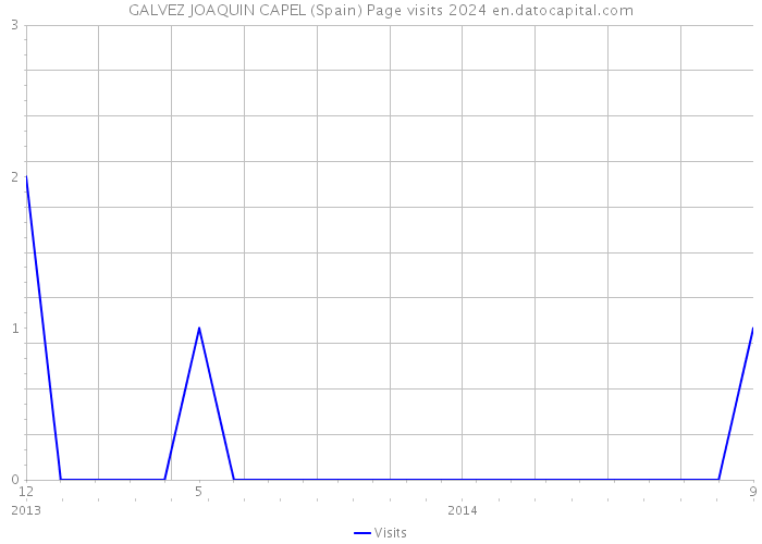 GALVEZ JOAQUIN CAPEL (Spain) Page visits 2024 