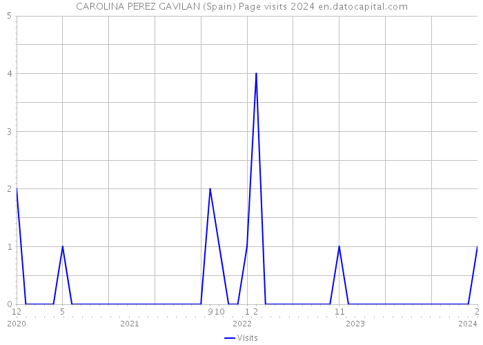 CAROLINA PEREZ GAVILAN (Spain) Page visits 2024 