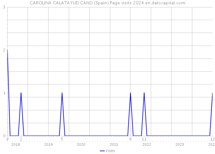 CAROLINA CALATAYUD CANO (Spain) Page visits 2024 