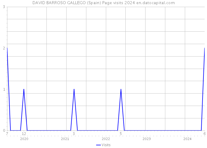 DAVID BARROSO GALLEGO (Spain) Page visits 2024 