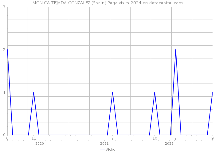 MONICA TEJADA GONZALEZ (Spain) Page visits 2024 
