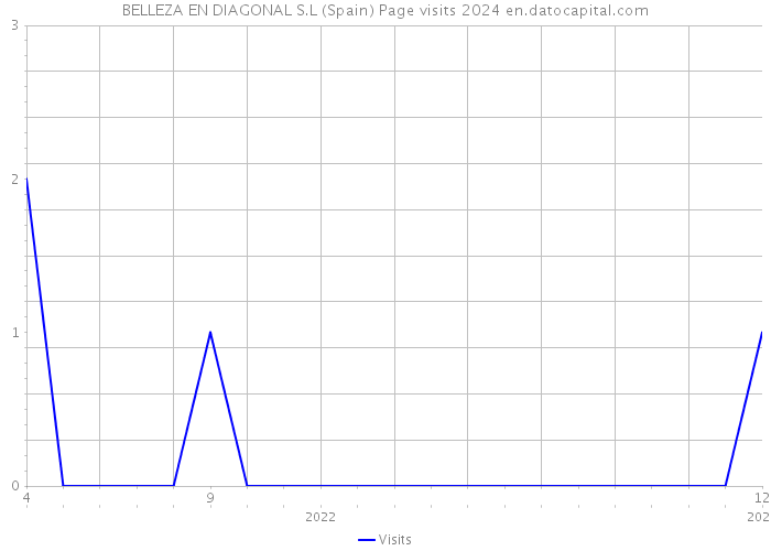 BELLEZA EN DIAGONAL S.L (Spain) Page visits 2024 