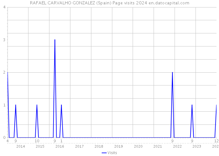 RAFAEL CARVALHO GONZALEZ (Spain) Page visits 2024 