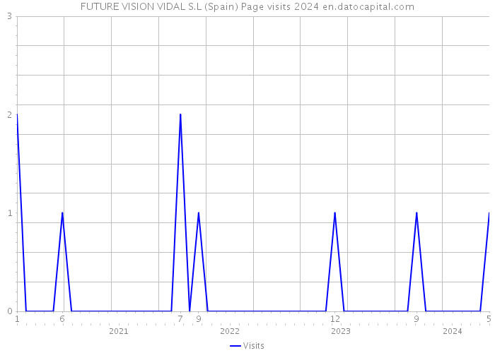 FUTURE VISION VIDAL S.L (Spain) Page visits 2024 