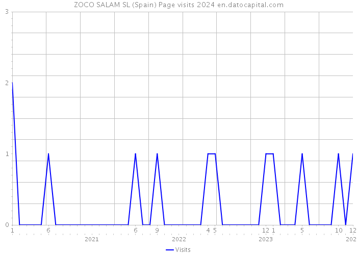 ZOCO SALAM SL (Spain) Page visits 2024 