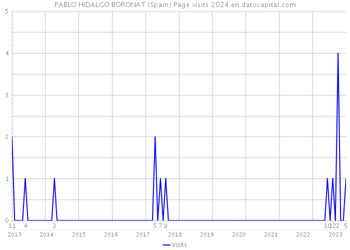 PABLO HIDALGO BORONAT (Spain) Page visits 2024 