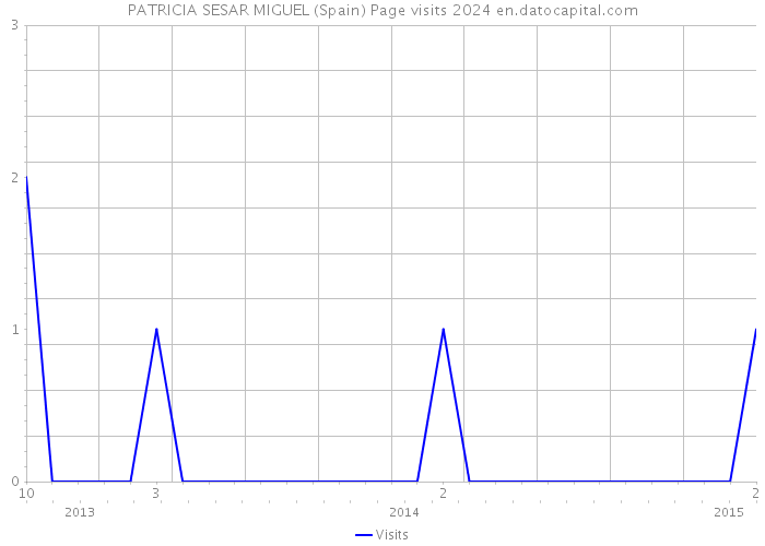 PATRICIA SESAR MIGUEL (Spain) Page visits 2024 