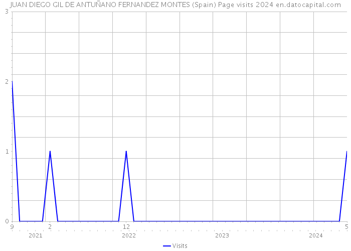 JUAN DIEGO GIL DE ANTUÑANO FERNANDEZ MONTES (Spain) Page visits 2024 