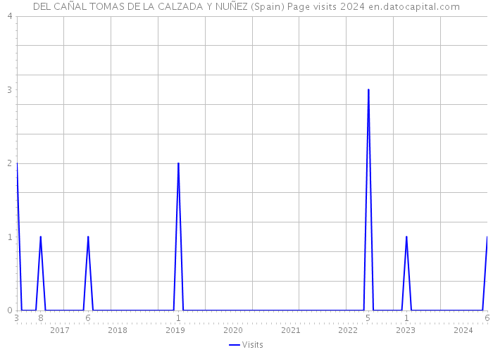 DEL CAÑAL TOMAS DE LA CALZADA Y NUÑEZ (Spain) Page visits 2024 