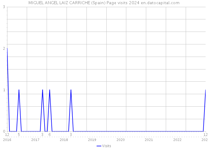 MIGUEL ANGEL LAIZ CARRICHE (Spain) Page visits 2024 