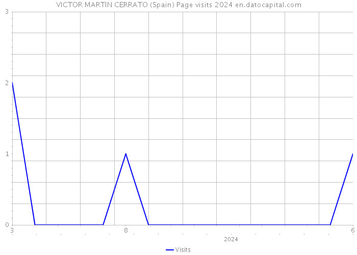 VICTOR MARTIN CERRATO (Spain) Page visits 2024 