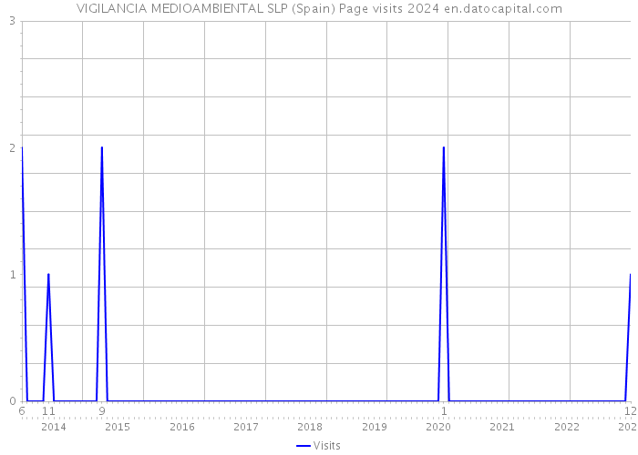 VIGILANCIA MEDIOAMBIENTAL SLP (Spain) Page visits 2024 
