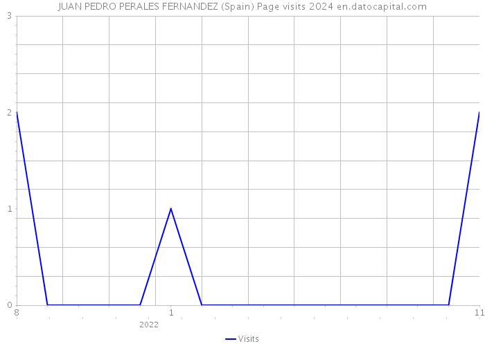 JUAN PEDRO PERALES FERNANDEZ (Spain) Page visits 2024 