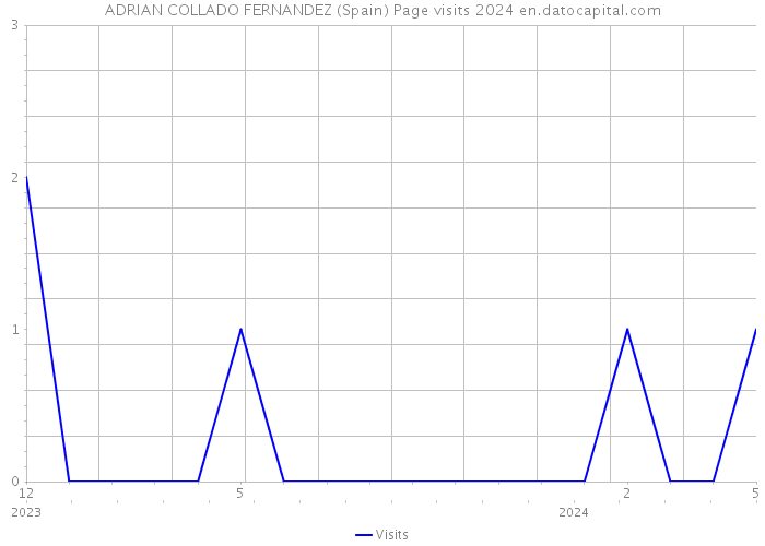 ADRIAN COLLADO FERNANDEZ (Spain) Page visits 2024 