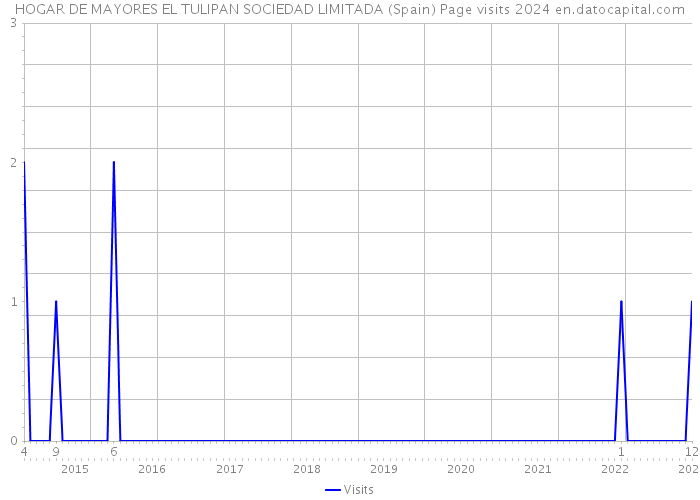 HOGAR DE MAYORES EL TULIPAN SOCIEDAD LIMITADA (Spain) Page visits 2024 