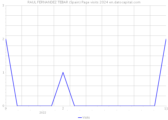 RAUL FERNANDEZ TEBAR (Spain) Page visits 2024 