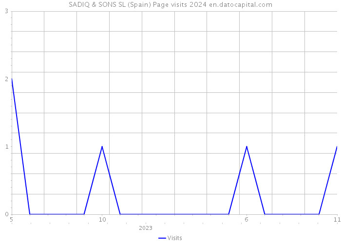 SADIQ & SONS SL (Spain) Page visits 2024 