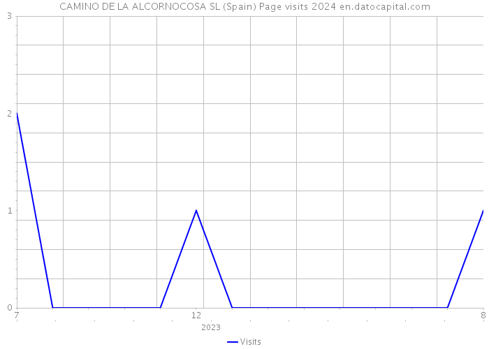 CAMINO DE LA ALCORNOCOSA SL (Spain) Page visits 2024 