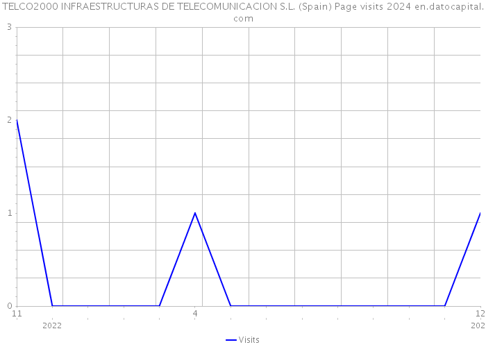 TELCO2000 INFRAESTRUCTURAS DE TELECOMUNICACION S.L. (Spain) Page visits 2024 
