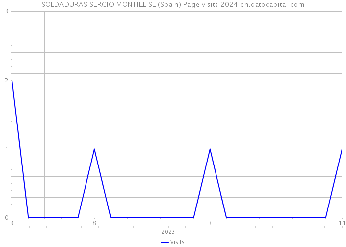 SOLDADURAS SERGIO MONTIEL SL (Spain) Page visits 2024 