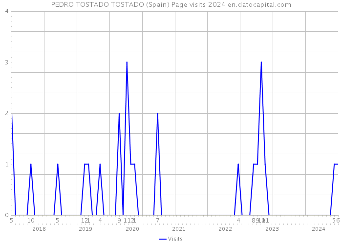 PEDRO TOSTADO TOSTADO (Spain) Page visits 2024 