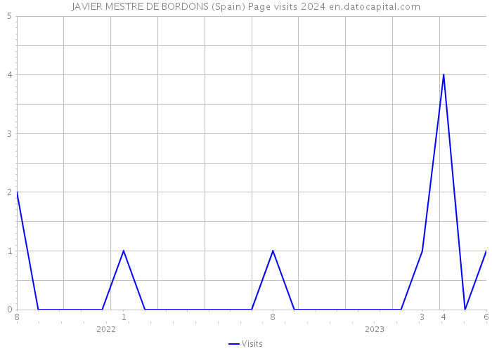 JAVIER MESTRE DE BORDONS (Spain) Page visits 2024 
