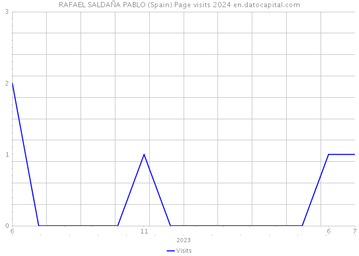 RAFAEL SALDAÑA PABLO (Spain) Page visits 2024 