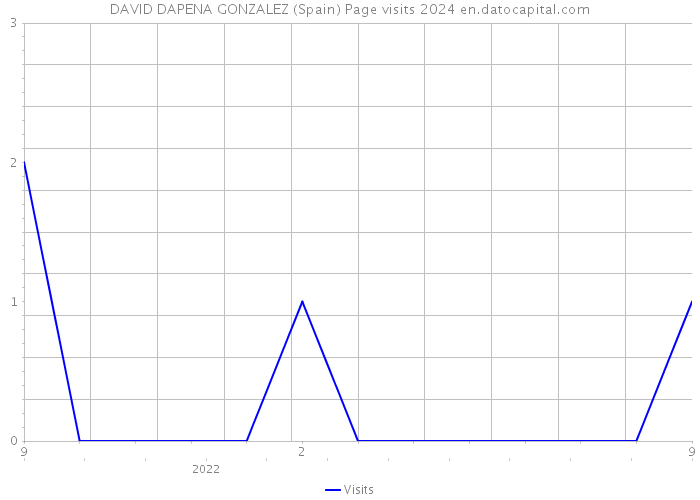 DAVID DAPENA GONZALEZ (Spain) Page visits 2024 