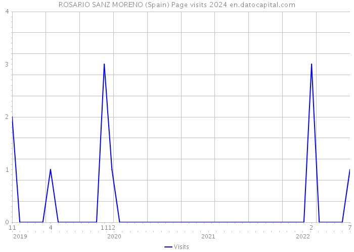 ROSARIO SANZ MORENO (Spain) Page visits 2024 
